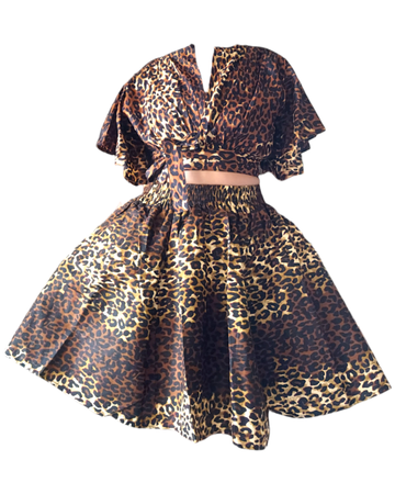 Leopard Skirt & Crop Top Set